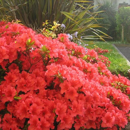 Liosderrig House B&B Glenbeigh Ngoại thất bức ảnh