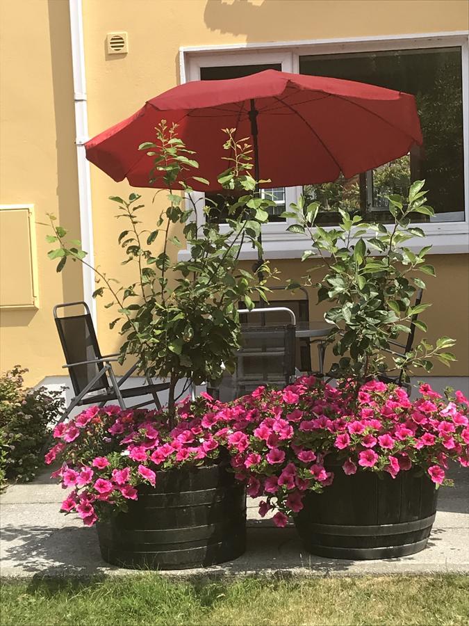 Liosderrig House B&B Glenbeigh Ngoại thất bức ảnh